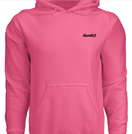 "My Motorcycle Has 4 Wheels" hoodie